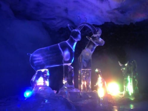 ice sculptures