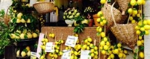 lemons sorrento peninsula italy