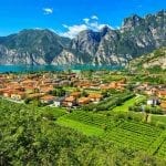 VIneyards Lake Garda Northern Italy