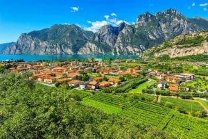 VIneyards Lake Garda Northern Italy