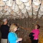 Cellar Parma Italy