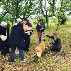 Hunting for truffles in the Perigord