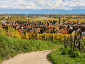 Eguisheim-alsace