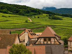 alsace-1