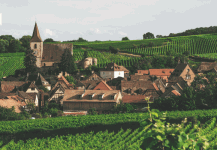 Alsace Revealed – Vineyard Walks Through France’s Distinctive East Alsace Revealed – Vineyard Walks Through France’s Distinctive East
