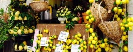 Lemons and Limoncello on the Sorrento Peninsula